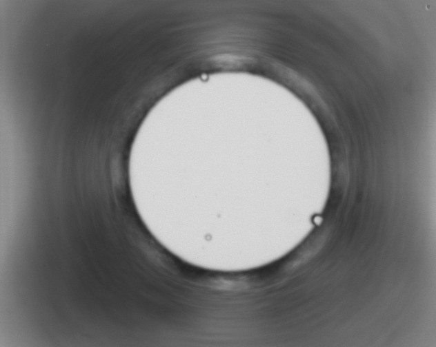 X0000112070317201007221012