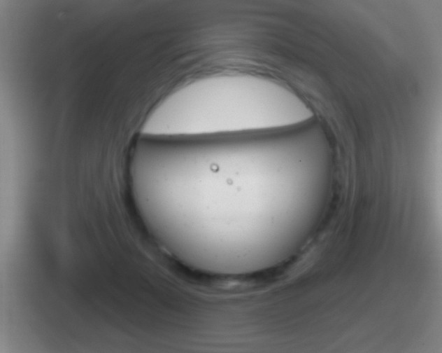 X0000112070319201007221012