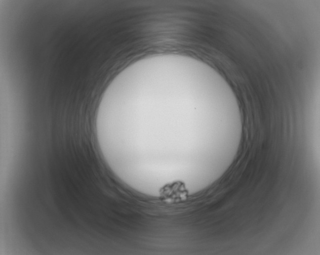 X0000112070320201007221012