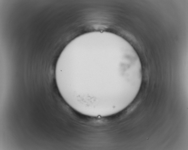 X0000112070321201007221012