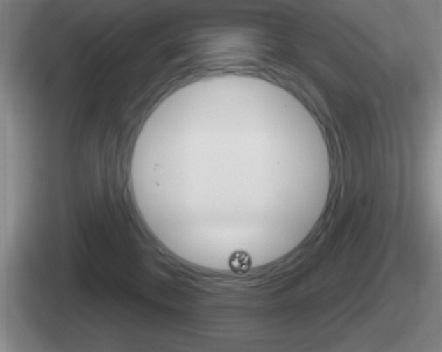 X0000112070328201007221012