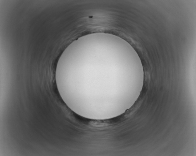 X0000112070331201007221012