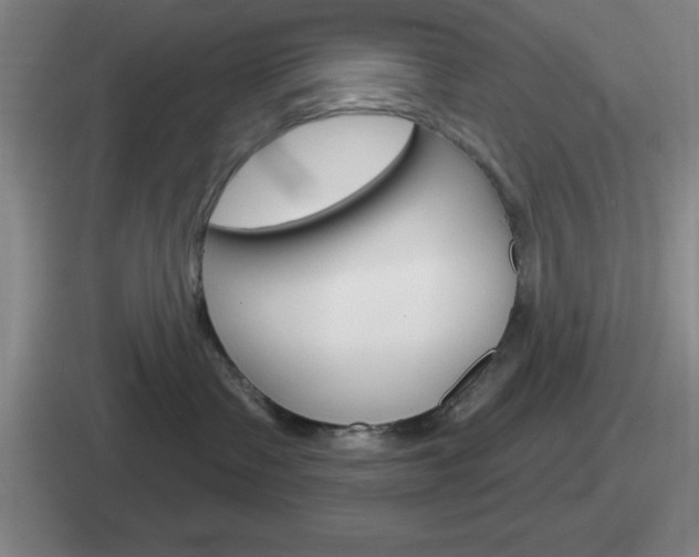 X0000112070335201007221011