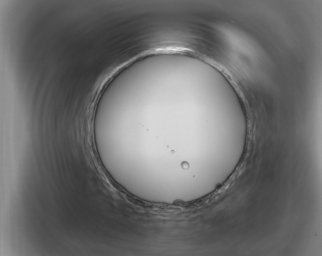 X0000112070337201007221011
