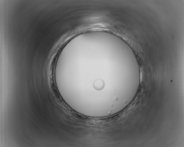 X0000112070339201007221011