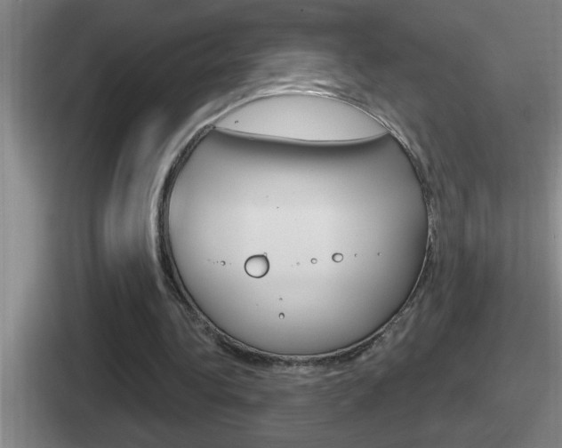 X0000112070340201007221011