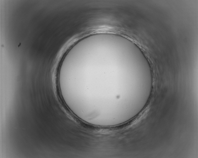 X0000112070341201007221011