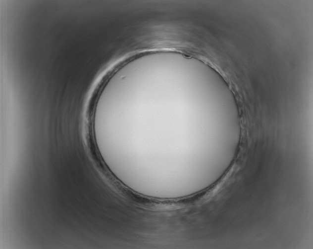 X0000112070342201007221011