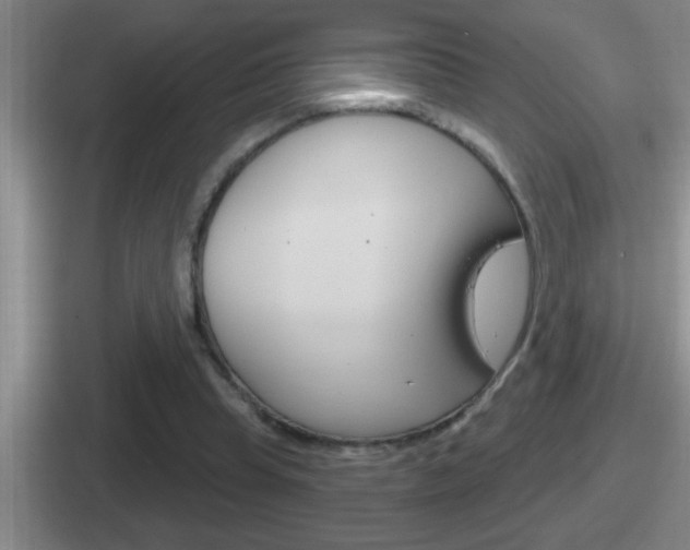 X0000112070345201007221011
