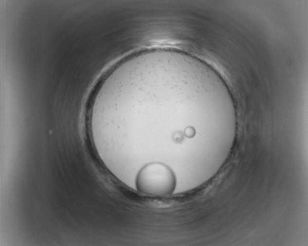 X0000112070346201007221011