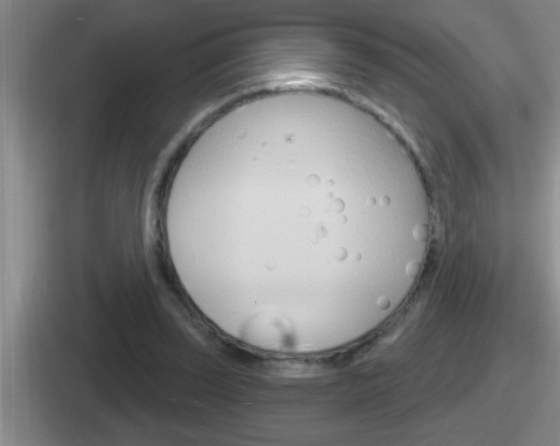 X0000112070347201007221011