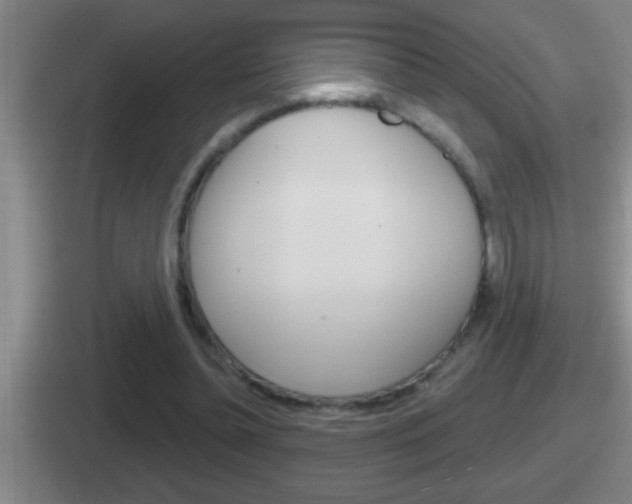 X0000112070348201007221011