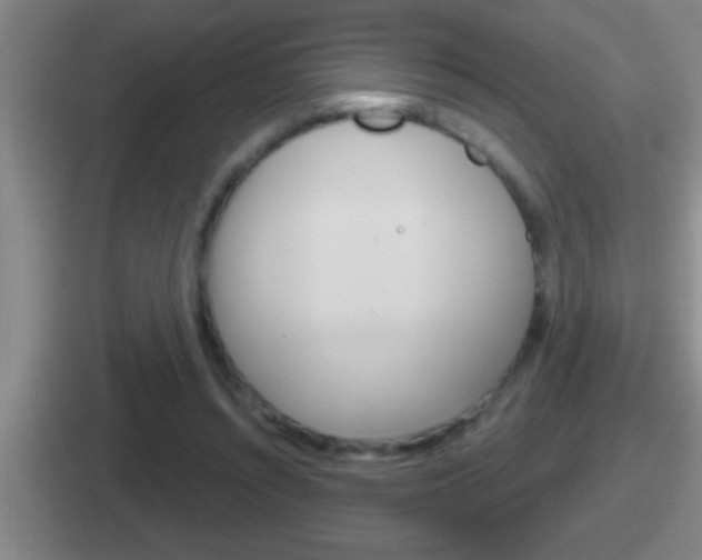 X0000112070352201007221011