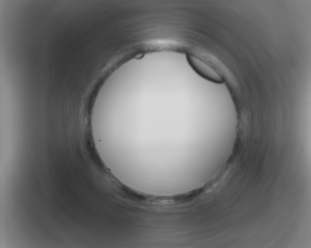 X0000112070355201007221011