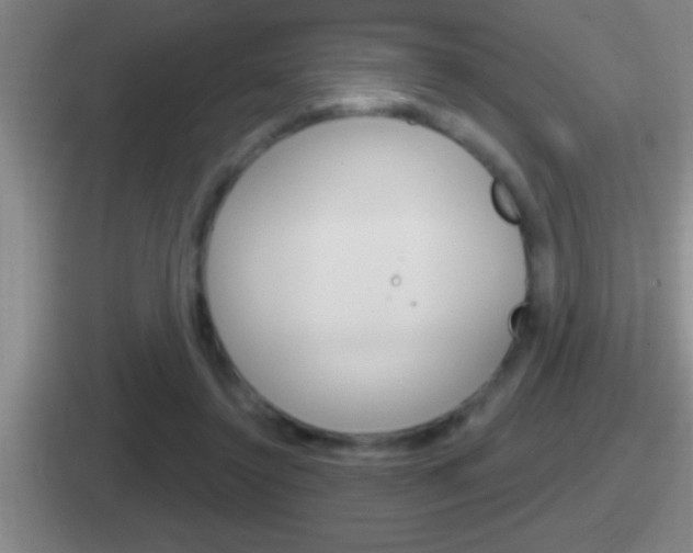 X0000112070356201007221011