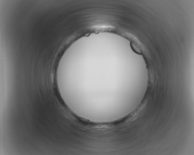X0000112070357201007221011