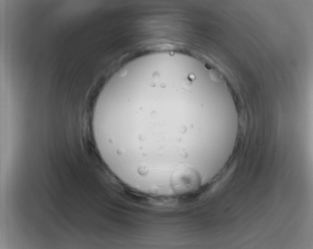 X0000112070359201007221011
