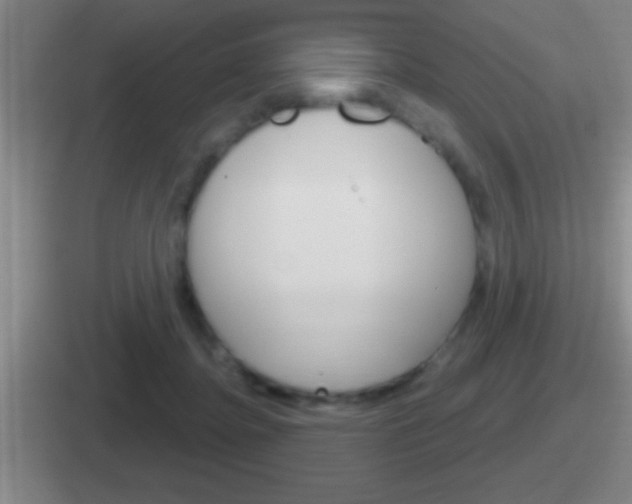 X0000112070364201007221011
