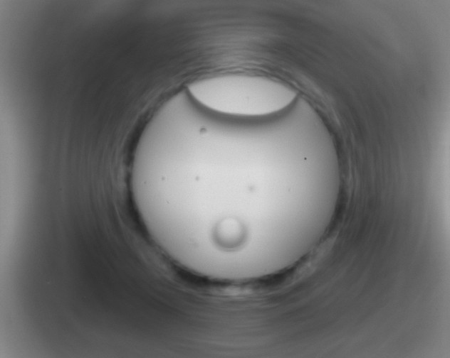 X0000112070366201007221011