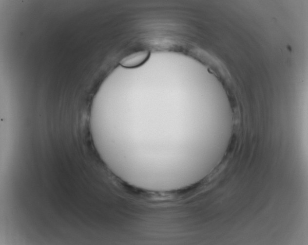 X0000112070369201007221011