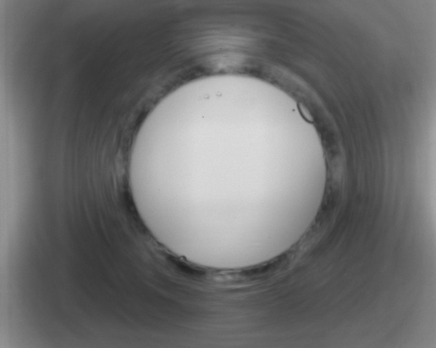 X0000112070372201007221011