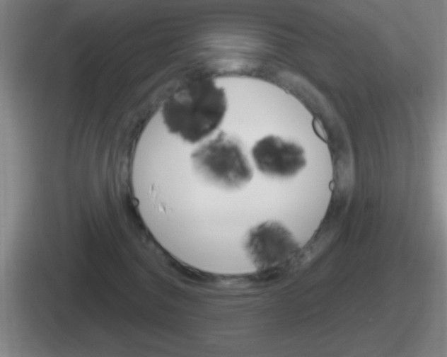 X0000112070376201007221011