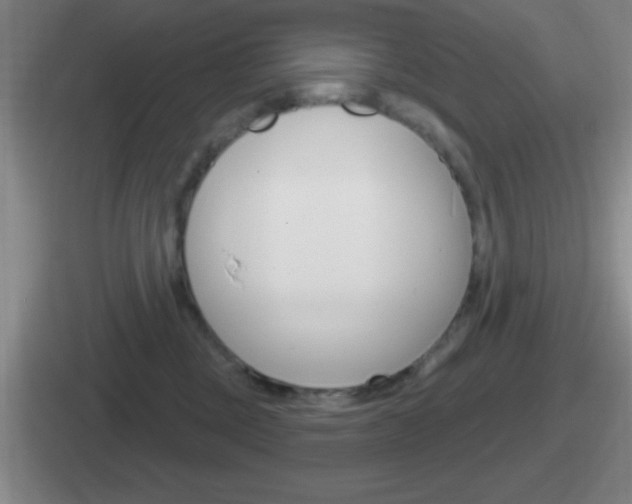 X0000112070377201007221011