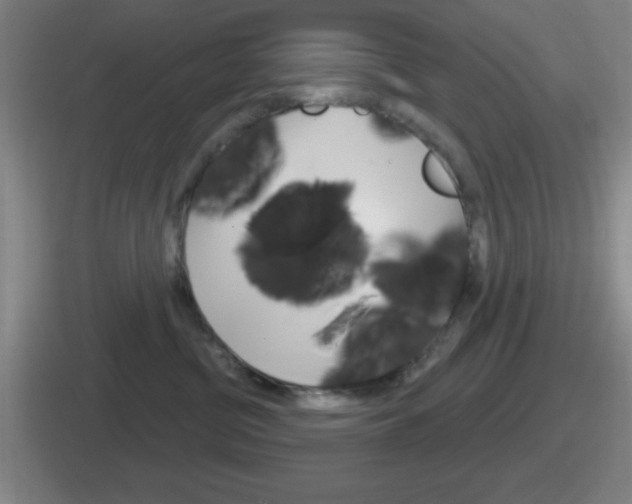 X0000112070380201007221011