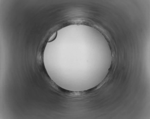 X0000112070381201007221011