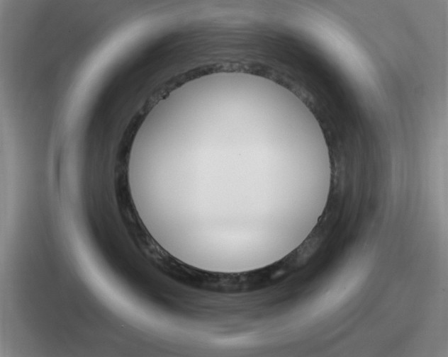 X0000112070383201007221011