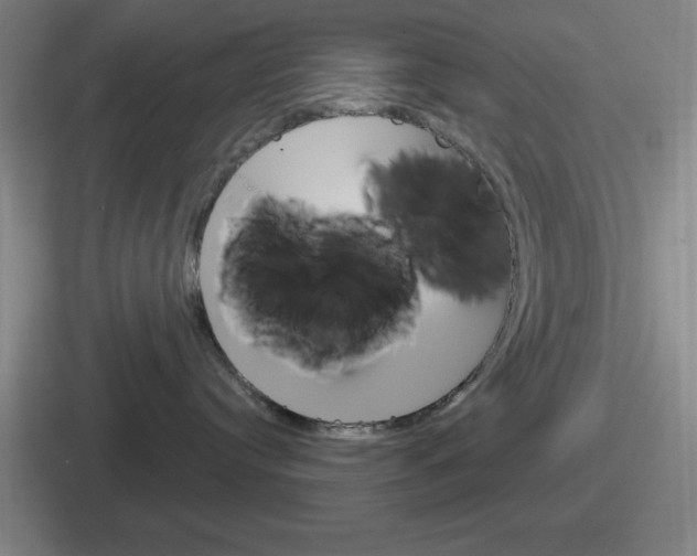 X0000112070384201007221011
