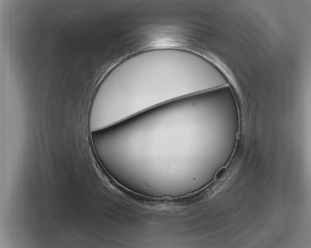X0000112070385201007221011