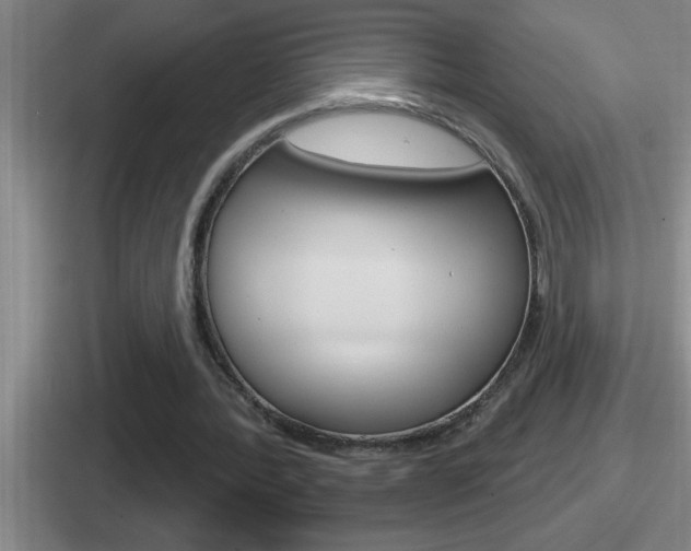 X0000112070388201007221011