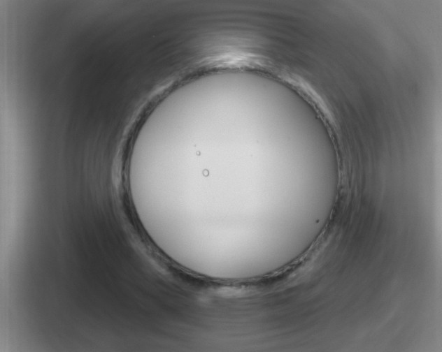 X0000112070394201007221011
