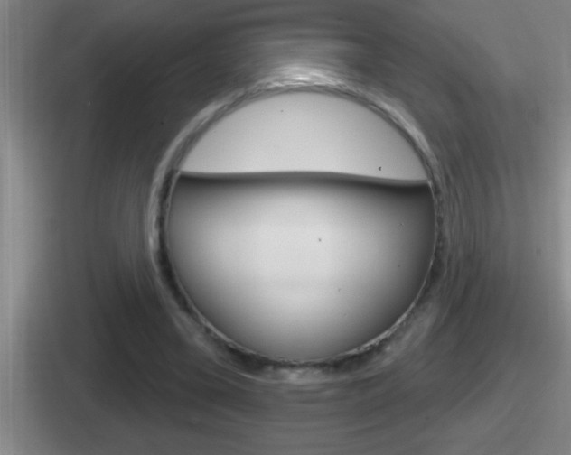 X0000112070395201007221011