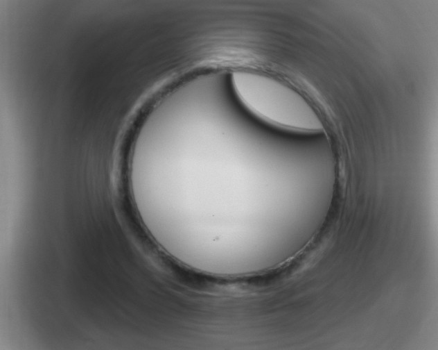 X0000112070396201007221011