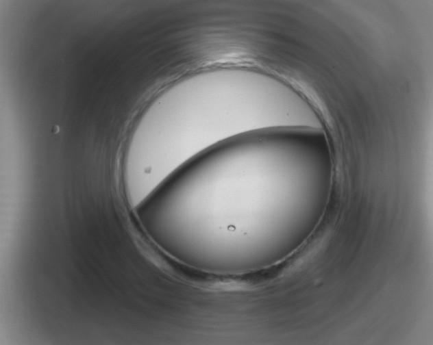 X0000112070397201007221011