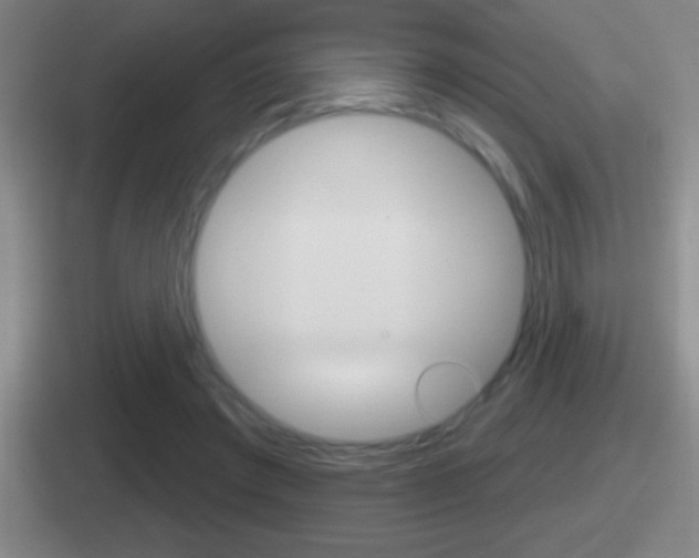 X0000112070401201007221011