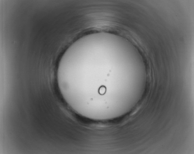X0000112070412201007221010