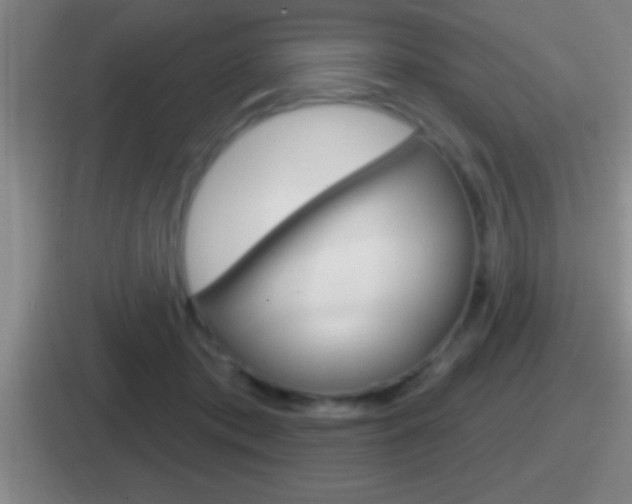 X0000112070413201007221010