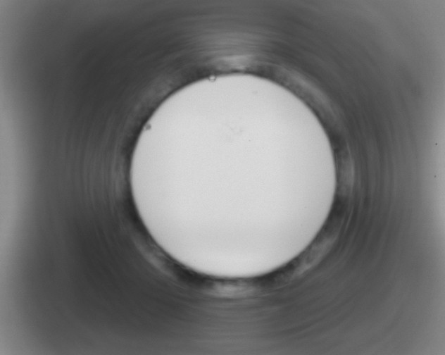 X0000112070414201007221010
