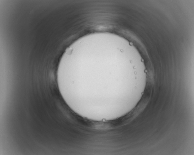 X0000112070415201007221010