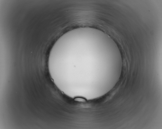 X0000112070416201007221010