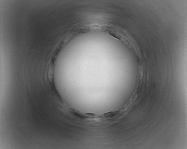 X0000112070419201007221010