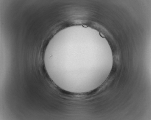 X0000112070422201007221010