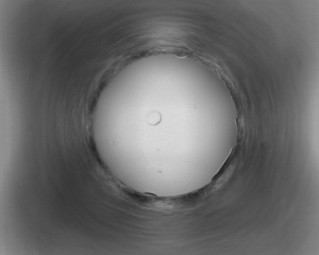 X0000112070423201007221010
