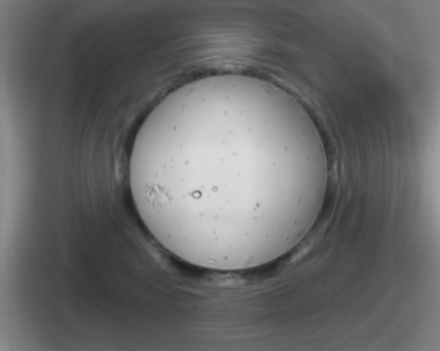 X0000112070424201007221010