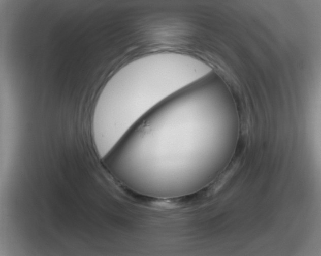 X0000112070425201007221010