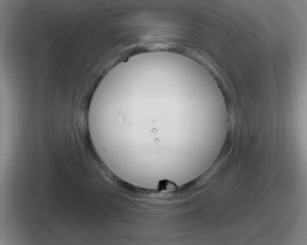 X0000112070426201007221010