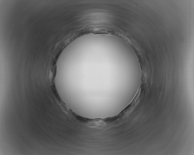 X0000112070427201007221010